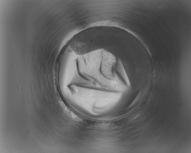 X0000076030998200610201822