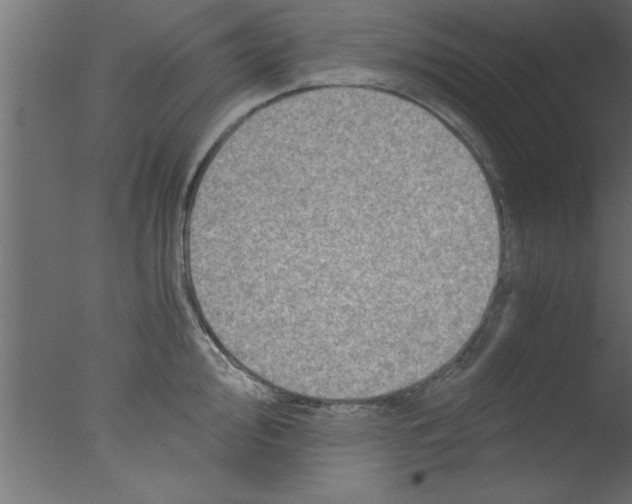 X0000076031000200610201822