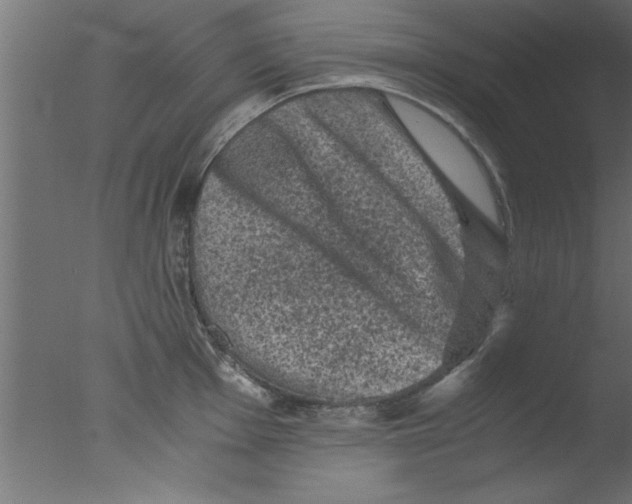 X0000076031001200610201822