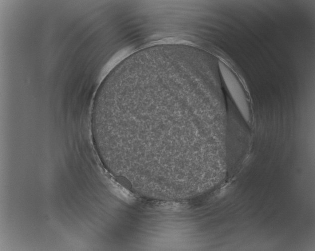 X0000076031002200610201822