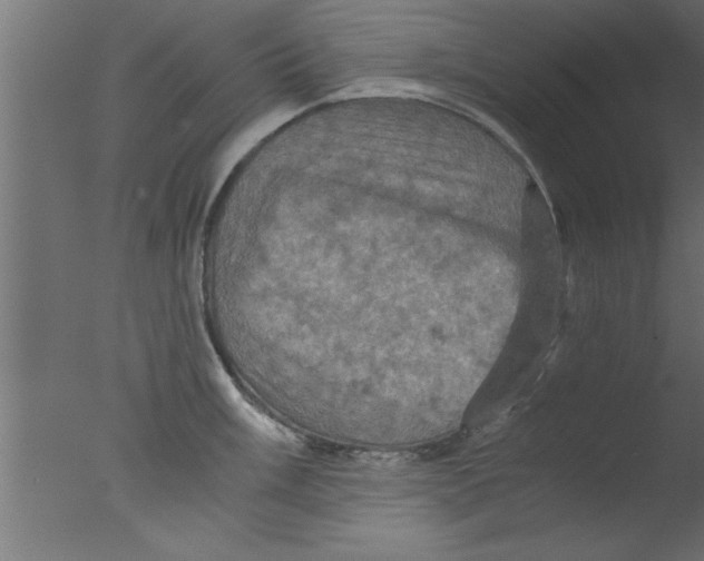 X0000076031003200610201822