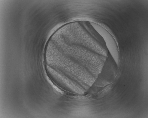 X0000076031005200610201822