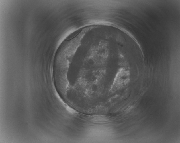 X0000076031007200610201822