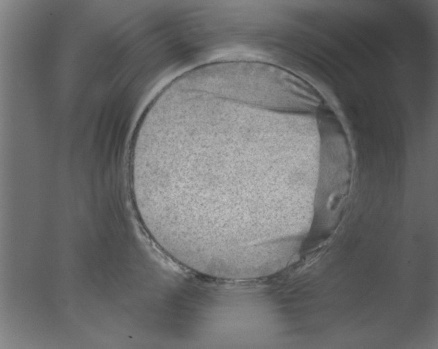 X0000076031008200610201822