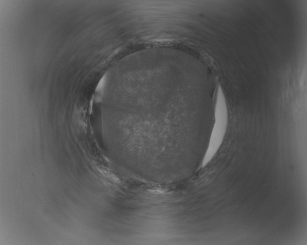 X0000076031010200610201821