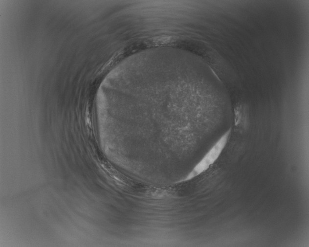 X0000076031011200610201821