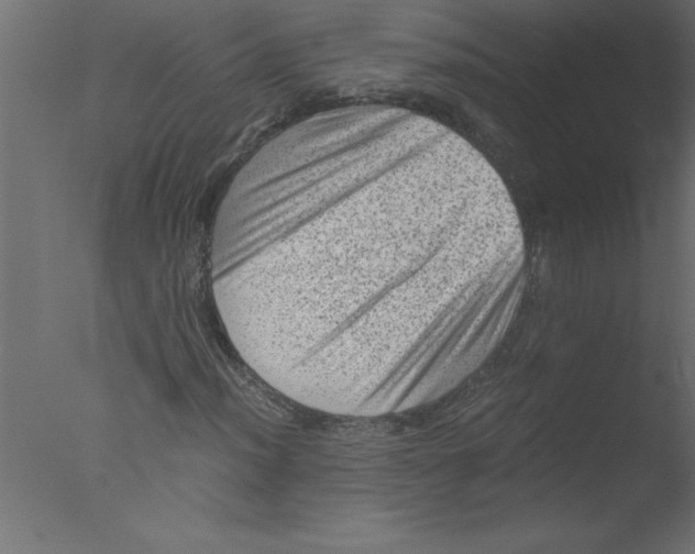 X0000076031012200610201821