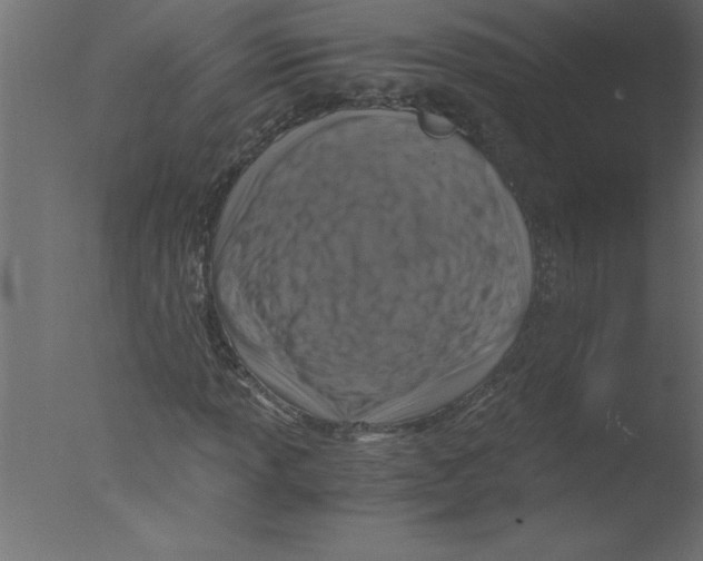 X0000076031013200610201821