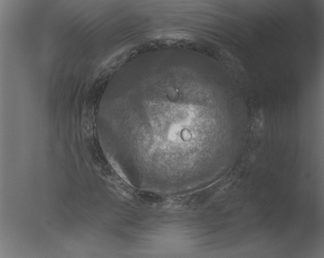 X0000076031014200610201821