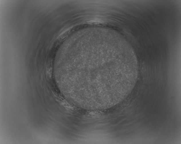 X0000076031015200610201821