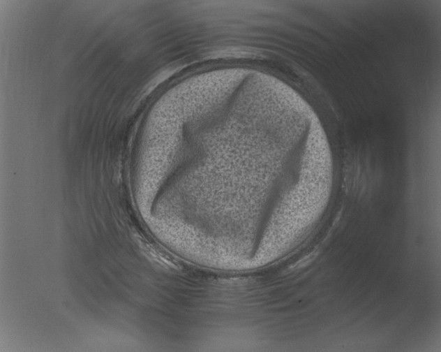 X0000076031017200610201821