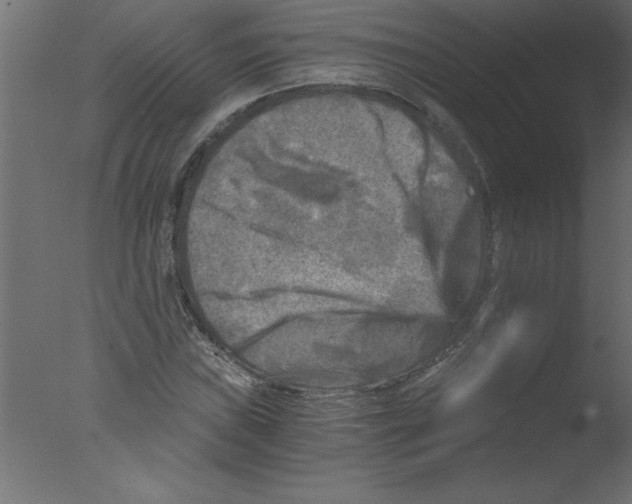 X0000076031019200610201821