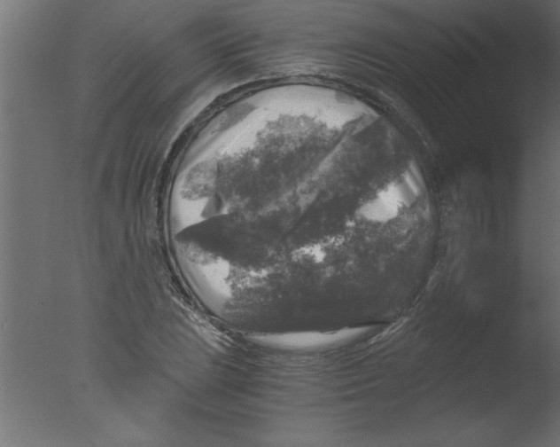 X0000076031023200610201821