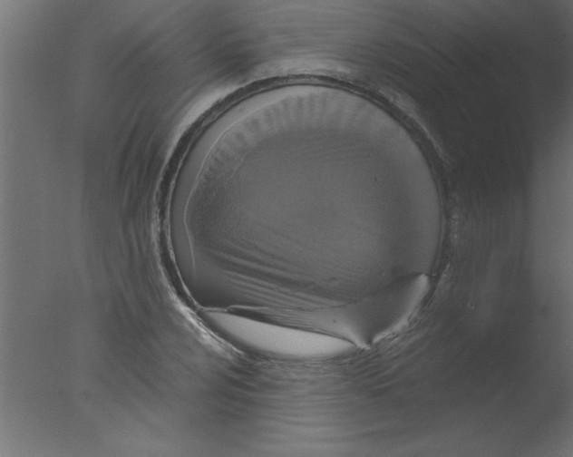 X0000076031024200610201821