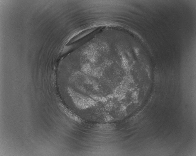 X0000076031025200610201821