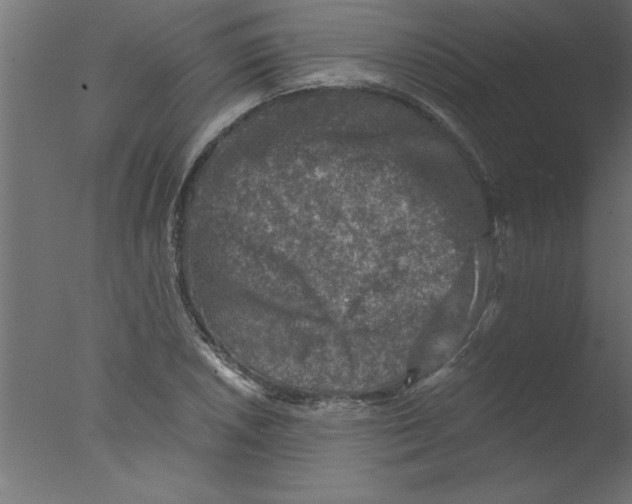 X0000076031026200610201822