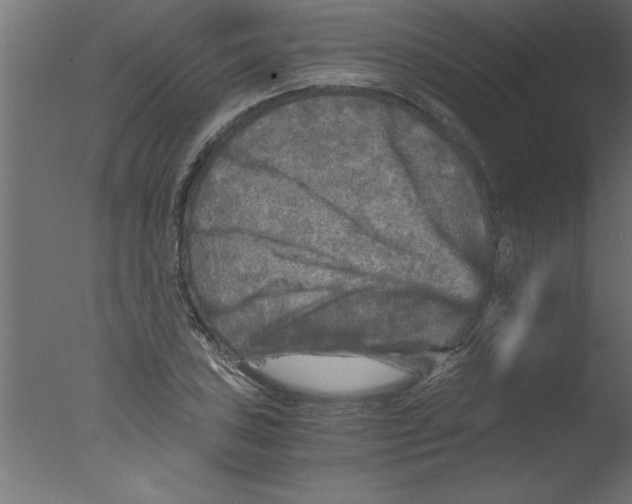 X0000076031027200610201822