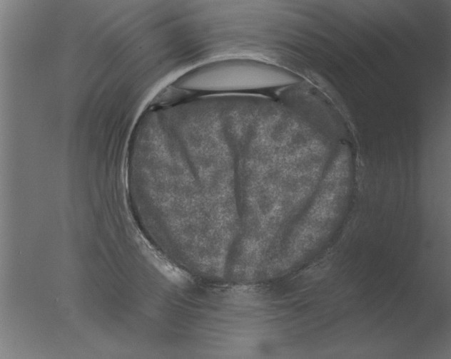 X0000076031028200610201822