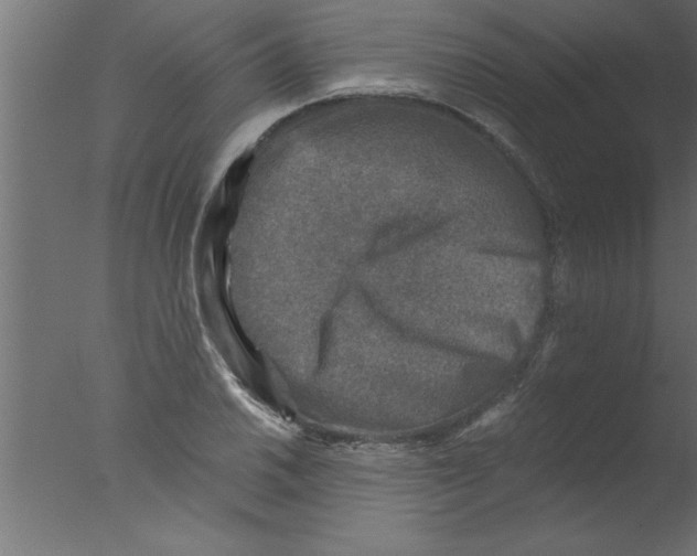 X0000076031030200610201822