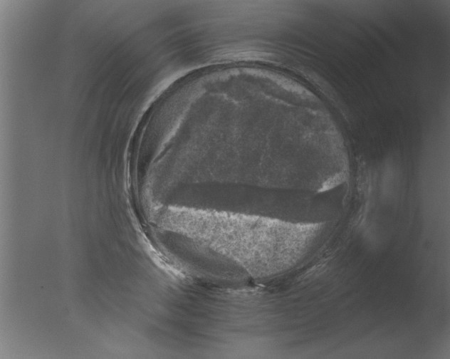 X0000076031031200610201822