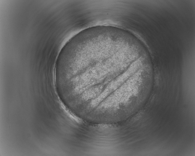 X0000076031032200610201822