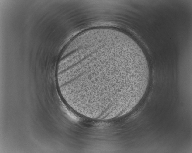 X0000076031033200610201822