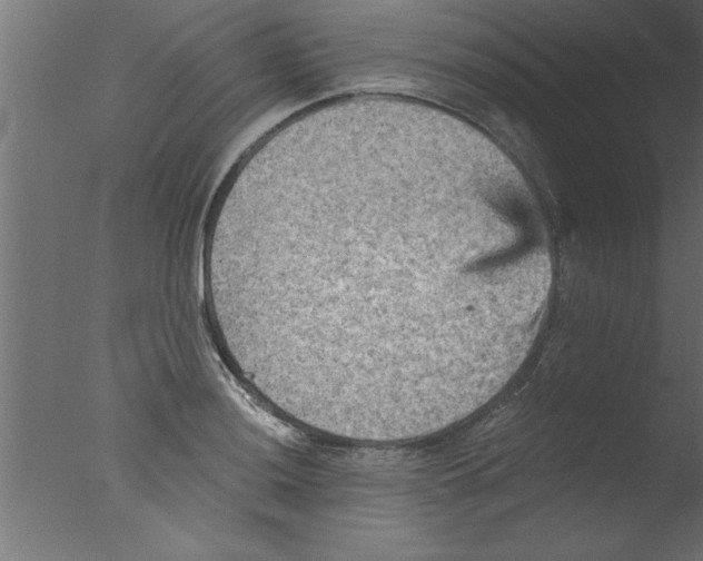 X0000076031036200610201822