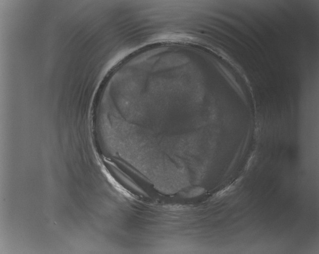 X0000076031037200610201822