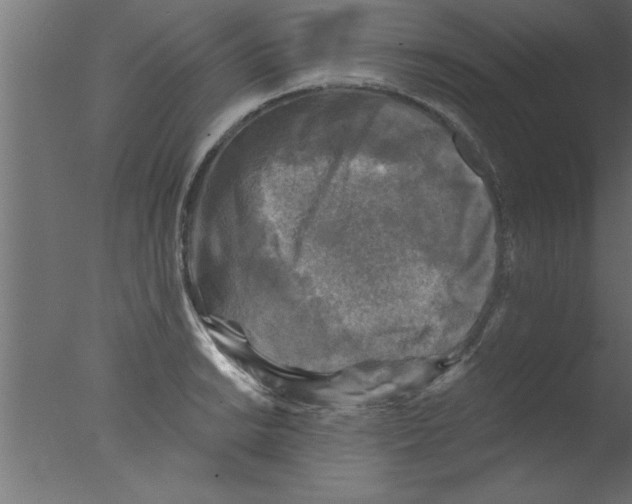 X0000076031038200610201822