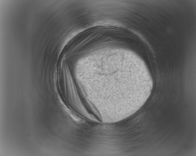 X0000076031040200610201822