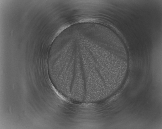 X0000076031041200610201822