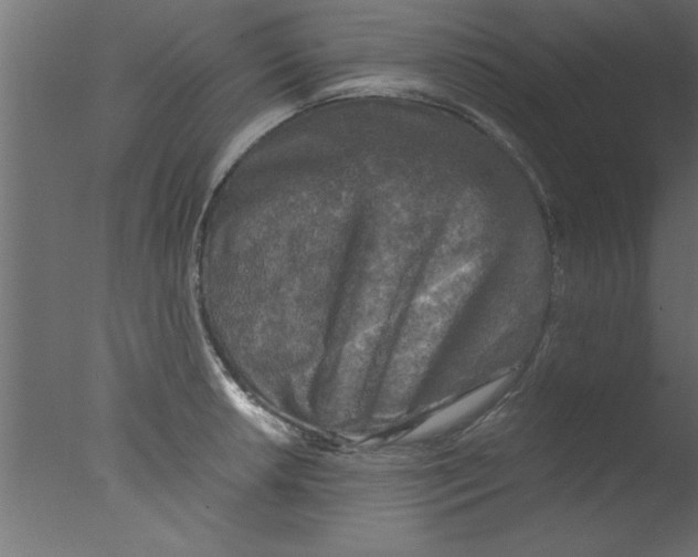 X0000076031042200610201822