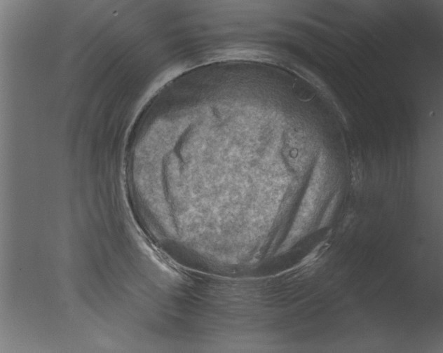 X0000076031043200610201822