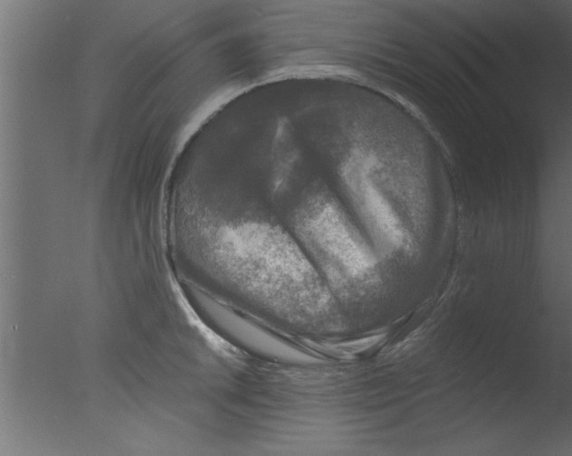 X0000076031046200610201822