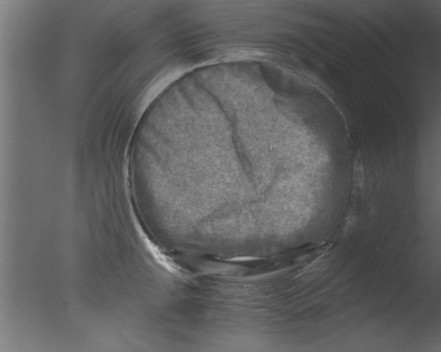 X0000076031047200610201822