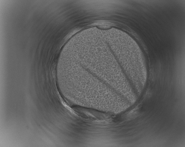 X0000076031049200610201822