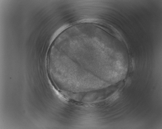 X0000076031050200610201822