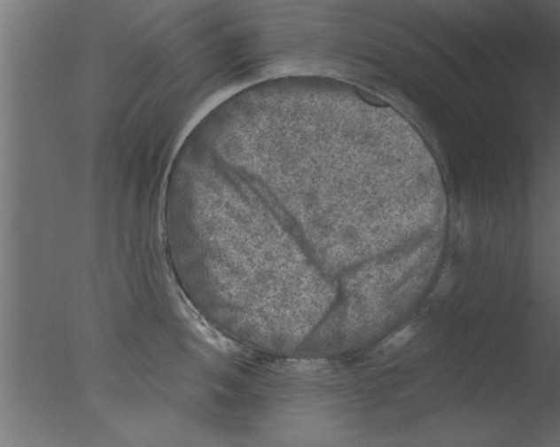 X0000076031052200610201822