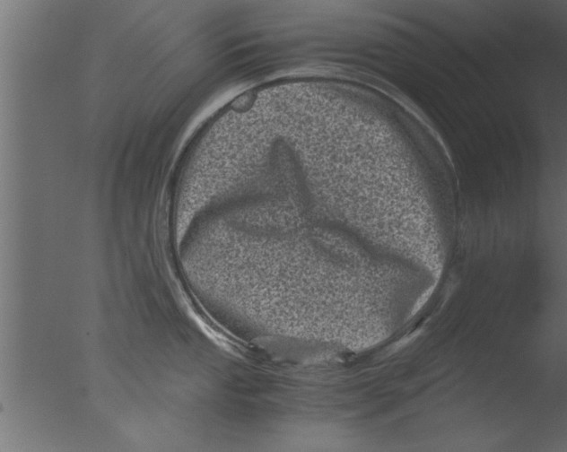 X0000076031053200610201822