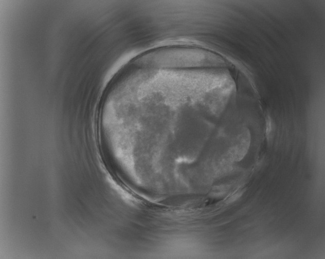 X0000076031054200610201822