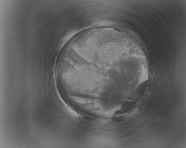 X0000076031055200610201822