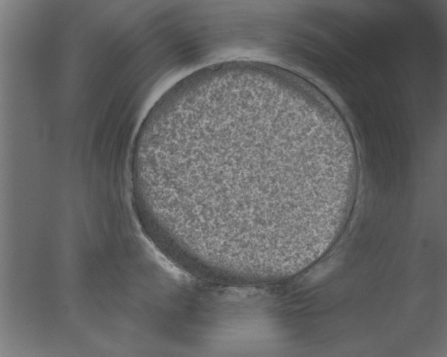 X0000076031056200610201822