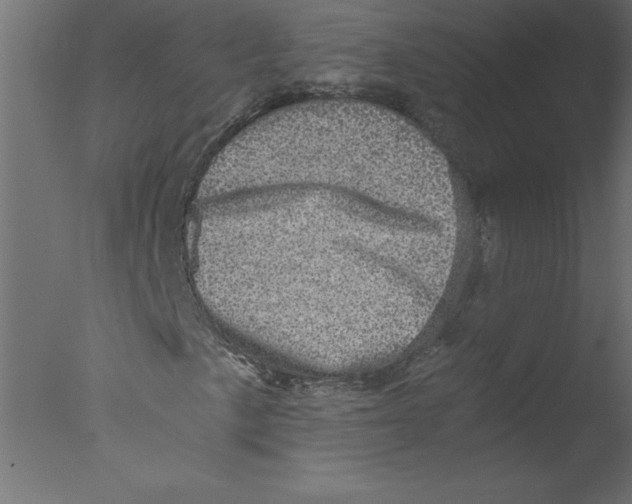 X0000076031057200610201821