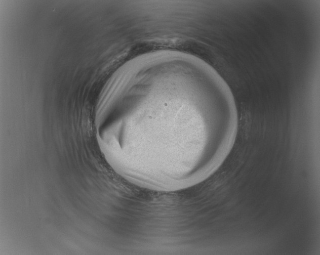 X0000076031058200610201821