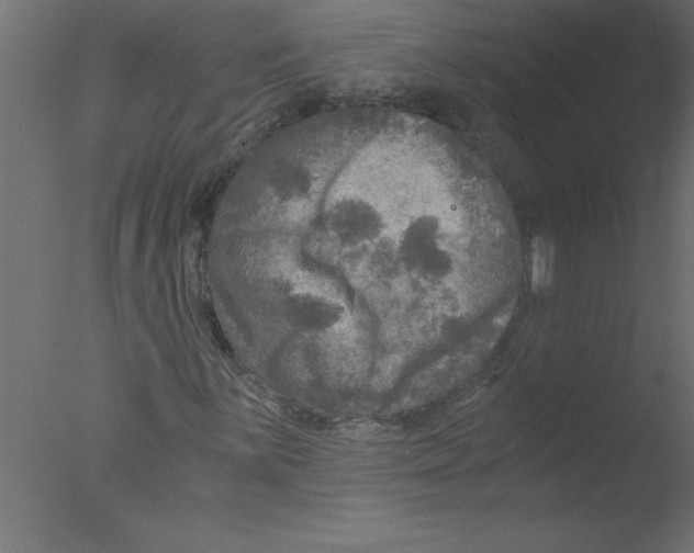 X0000076031059200610201821