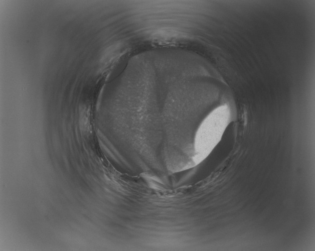 X0000076031060200610201821