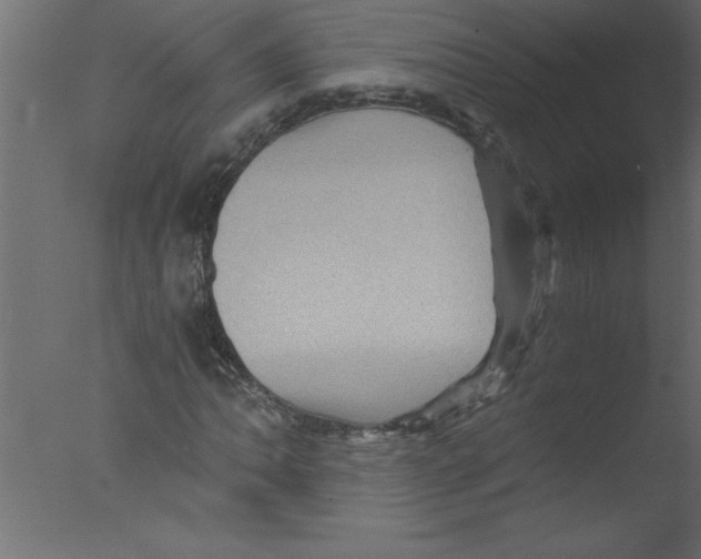 X0000076031062200610201821