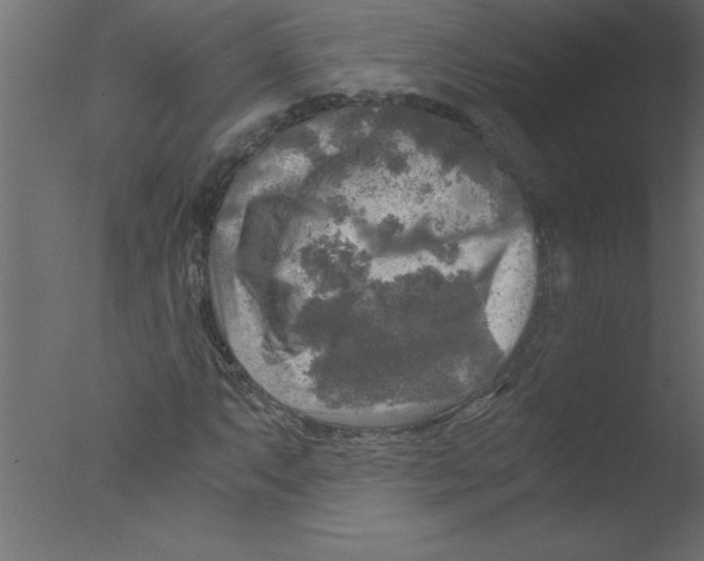 X0000076031063200610201821