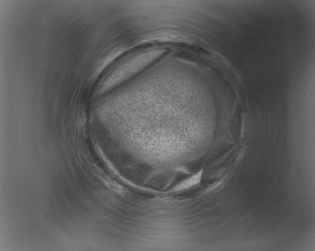 X0000076031065200610201821