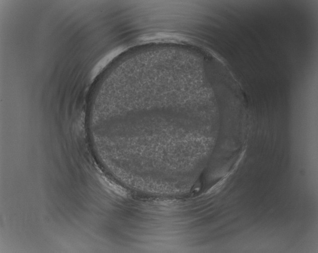 X0000076031066200610201821